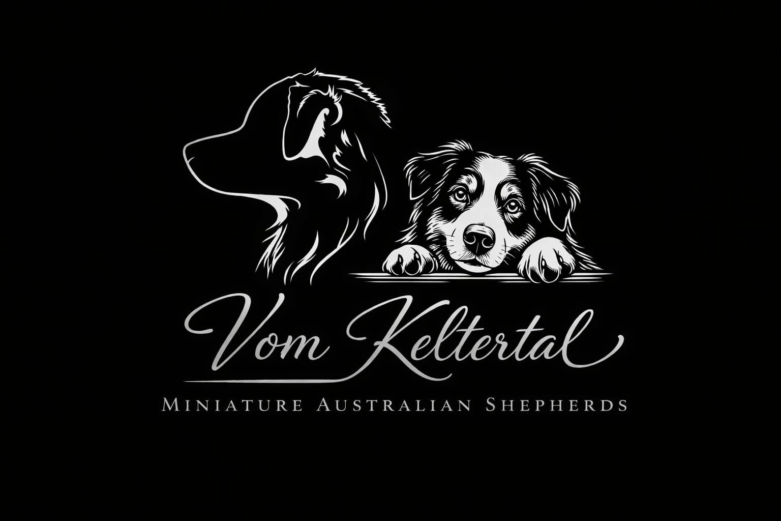 Vom Keltertal · silberne Zeichnung eines Australian Shepherds und eines Welpen auf schwarzem Grund